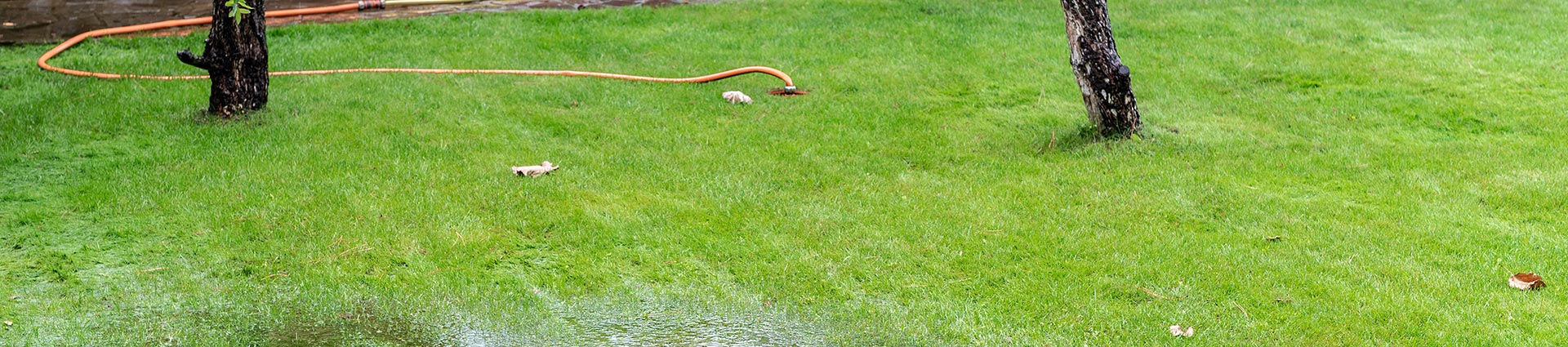 drain field repair